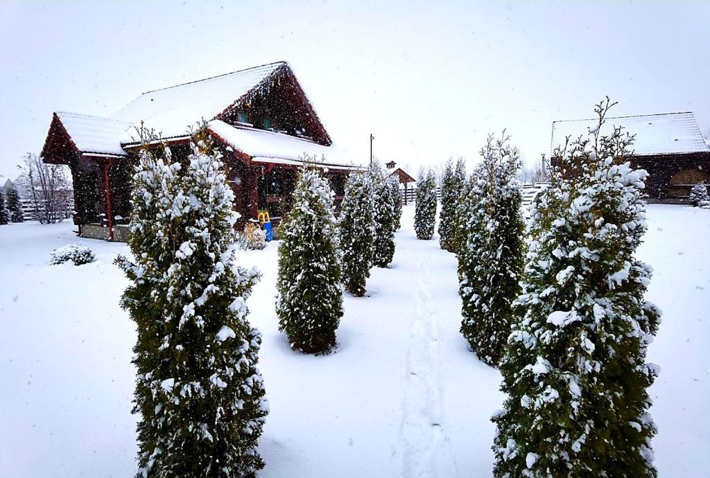 La Casute Bran Bran (Brasov) Exterior foto