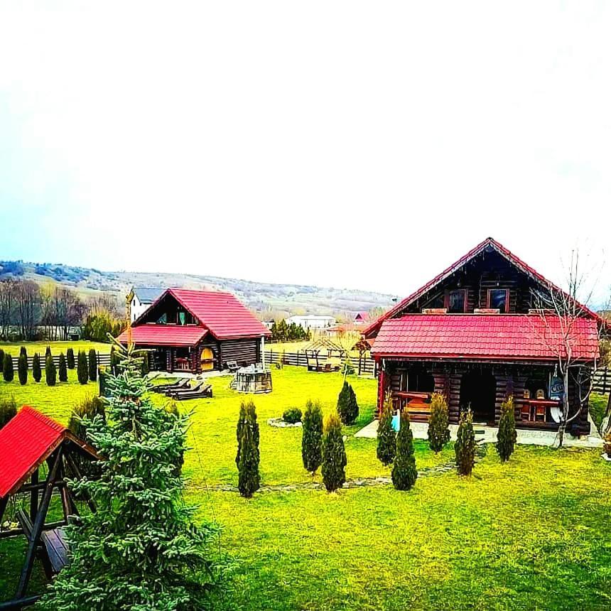 La Casute Bran Bran (Brasov) Exterior foto