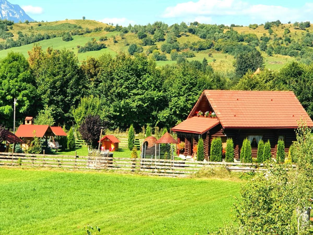 La Casute Bran Bran (Brasov) Exterior foto